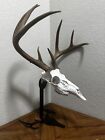 Table Top European Mount Hanger - Skull Hanger Deer Hook Metal Steel