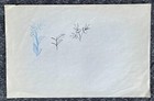 Flower Planet Expo 90 Japan Mike Giaimo Original Animation Flowers Concept Art B