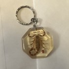 Durango Clear Octagon Resin Scorpion Keychain Souvenir Key Ring Charm