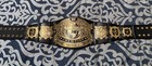 Wwe Undisputed Championship V1 Replica Belt     Triple H Nameplate     Original Bag