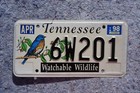 1998 Tennessee Watchable Wildlife License Plate