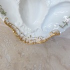 1 Rare Antique French Porcelain Limoges Shell Form Oyster Plate  more Availble 