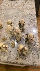 Vintage Huge Lot Of Vintage Netsuke Figurine  Lot Of 37 Figures Resin Japan 