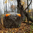 Barronett Blinds   Spy 5  Xsp500ch_1