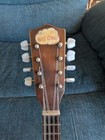 Vintage Regal Blue Comet Mandolin   Restored   New Pickup   Watch Video