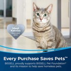 Bissell Advanced Pro Max Clean   Protect Deep Cleaning Carpet Formula  50 Oz  