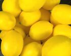 Lot 12 New Artificial Fruit Fake Lemon s Decorative 