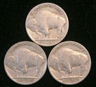 Lot Of 3 Buffalo   Indian Head Nickel Coins With Full Dates  Us Coins 