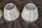 Chandelier Hanging Light Fixture Set Of 5 Mcm Replacement Globes Floral Blossom