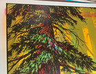 Love Forest Vintage 1970 s Hippie Blacklight Poster By Star City -nice 