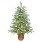 4ft Pre-lit Cypress Artificial Christmas Potted Tree  100 Warm White Twinkle Led