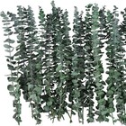 20 Pcs Real Eucalyptus 17  Dried Stems  Wedding 20 Pcs  20 
