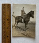 Great Antique Military Photo Lot Wwi Era Train Travel Horses