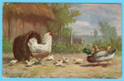 Latvia 1918  German Occup  Ober Ost  Postcard Fieldpost   167 Uk 5424