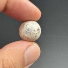 Authentic Ancient Near Eastern Carnelian Stone Bead With White Patina