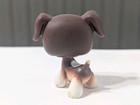 Littlest Pet Shop  287 Boxer Red Eyes Rare Lps Hasbro Singles
