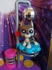 G7  170 Great Dane Authentic With Accessorie Littlest Pet Shop 