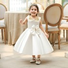 Girls Flower Bow Lace Bridesmaid Dress Baby Kids Wedding Party Princess Dresses