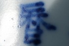 0258 Blue And White  hundred Boys  Jar  Wanli Six-character Mark