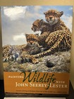 Painting Book Lot Painting Wildlife   Water Color Painter   s Solution Book Gair