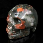 2   Natural Blood Stone Quartz Crystal Skull Carved Skull Reiki Healing 1pc