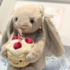 Bashful Birthday Cake Beige Rabbit Jelly Cat Stuffed Animal Soft Plush Toy Nwt