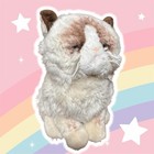 Gund Grumpy Cat Plush Soft Toy 9  Scowl Frown Soft Stuffed Animal Toy