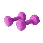 10lb Non-slip Neoprene Dumbbell Set 2 Count Home Gym Workout Fitness Dumbbell