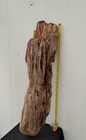 Large Driftwood Slab Woodworking Heavy Thick Solid Driftwood 3 Ft  Long