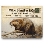 Vintage Beaver Fur Trapping Catalog Art Print Hunting Cabin Decor Trapper Gift