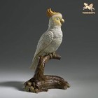China Pure Bronze 100  Hand-carved Sulphur-crested Cockatoo Parrot Art Statue
