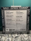  2013  Serato Control Vinyl  Diplo Express Yourself   Mint Condition  Sealed