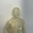Vintage 20  Tall  Acupuncture Acupressure Male Model Doll Rubber Chinese