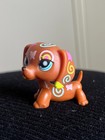     Rare     Authentic Lps Hasbro Littlest Pet Shop - Postcard Dachshund Dog  1010