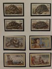 1982 - S w  Africa - Lot Of Stamps On Page - Mnh - A18