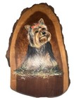 Yorkie Dog  Pup  Hand Painted On Wood 17    X 10    1986 Beautiful      Look   Gift
