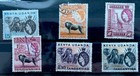 East Africa Kenya Tanganyika Uganda Selection On 5 Stockcards