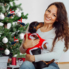 Dachshund Ornament - 2d Funny Dog Christmas Ornaments 2025 - Acrylic Dachshund O