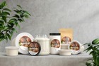 Raw African Shea Butter 8 Oz  100  Pure Ivory Organic Natural 6 Pack Wholesale