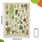 Fainne Set Of 6 Plant Poster Vintage Botanical Prints 12 X 16 Inch Linen Deco   