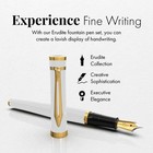 Fountain Pen Set  Medium Nib  Includes 6 Ink Cartridges And Ink Refill Conver   