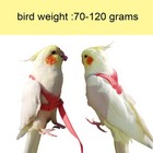 Vanfavori Adjustable Bird Harness With 80 Inch Leash Outdoor Flying Training Ro