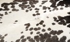 100  New Cowhide Rugs Area Cow Skin Leather  49  X 49   Cow Hide Sa-1155