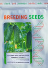 250 Seeds Cucumber German F1              Holland Hybrid Gherkin C                       