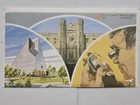 Die Crack Dime 1981 Royal Canadian Mint Uncirculated Coin Set - Scope Images