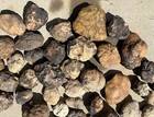 Unopened Geodes nodules Natural Semi Solid - Bulk Lot 2lb  Break You Own Geodes