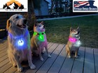Rechargeable Led Dog Collar Lights Pets Collars With Clip On Light
