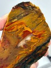 Oregon State Jasper Slab Cabbing Lapidary Carving Combo Ship Avail