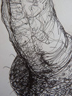 Original Black Pen   Ink Drawing Of A Male Phallus Illustration Penis Art Nsfw