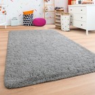 Soft Fluffy Bedroom Rugs  5 X 8 Feet Indoor Shaggy Plush Area Rug For Boys Gi 